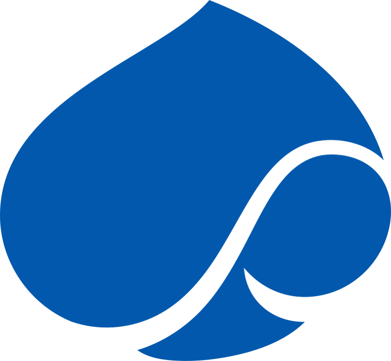 Capgemini Capgemini